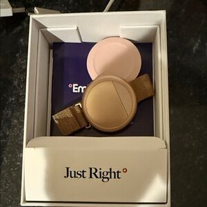 Elegant Gold Smartwatch